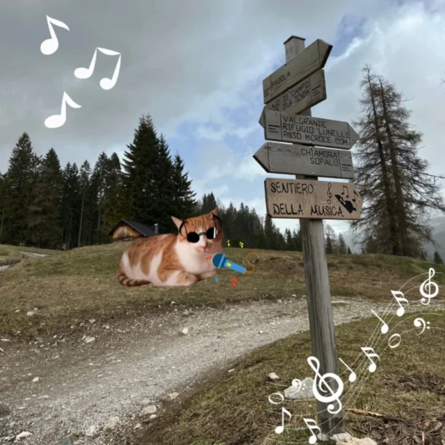 Micina è stata al sentiero della musica. Ti sei perso la storia? Visita il link in bio 🐱

 #micinaontheroad #travelcat #avventureconilgatto #catloverstravel #gattoinviaggio #comelico #dolomiti #lagodimisurina #lagodisantanna #padola #sentierodellamusica #veneto #misurina #italia #italiadascoprire #montagna #viaggiinitalia #vacanzeinmontagna #belluno #dolomitibellunesi #vitadagatto #gatti #gattini #viaggi #viaggio #storiediviaggio #blog