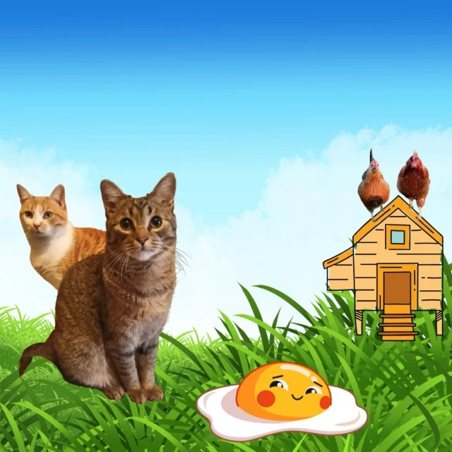 Scopri la tenera storia di Cesarina, la gallina che ha deposto il suo primo ovetto nella cuccia della cagnolina Joy. 🐔🥚💖

Un racconto di amicizia, gentilezza e convivenza tra specie diverse, narrato dalla nostra esploratrice preferita, #storiedivita 

𝑳𝒊𝒏𝒌 𝒊𝒏 𝒃𝒊𝒐! 😁

#Micinaontheroad #Ovetto #VitadaMicina #Amicizia #Gattini #Galline #Cagnolini #DailyAdventures #StoriediVita