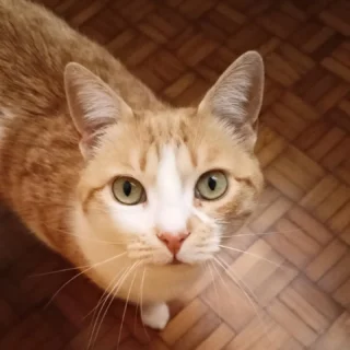 Instagram post 17967762056853514