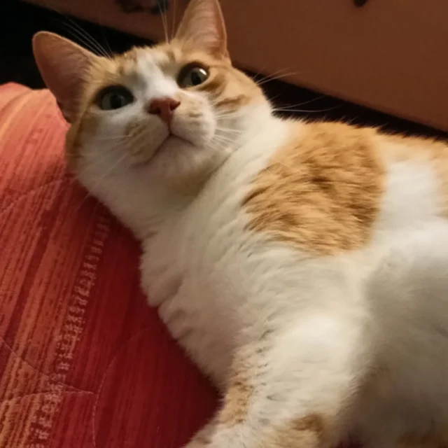 Buon pomeriggio a tutti!!! 🥰🥰🥰